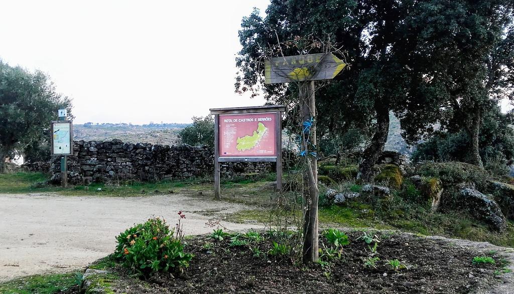 Douro Camping ميراندا دو دورو المظهر الخارجي الصورة