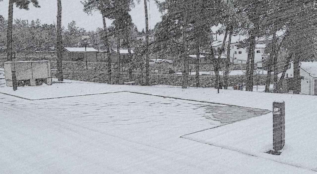 Douro Camping ميراندا دو دورو المظهر الخارجي الصورة